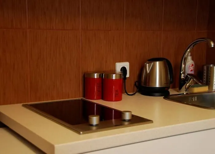 Apartmán Centrum Poznaň